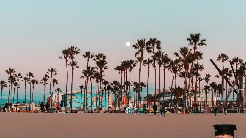 Strand med palmer ved solnedgang i Santa Monica under et sprogkursus i USA.
